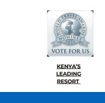 Vote Now