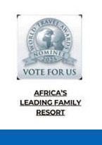 Vote Now